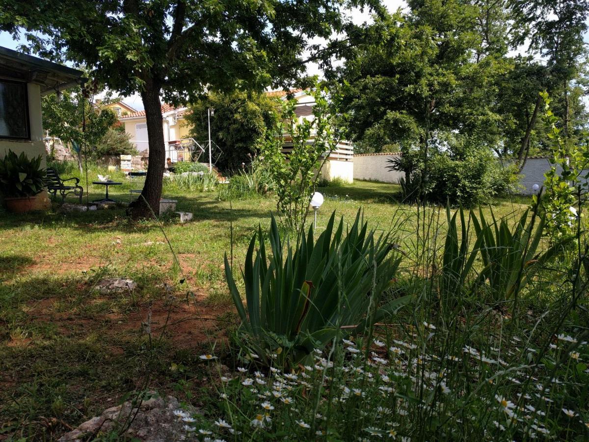 קאנפאנאר Apartment Helena מראה חיצוני תמונה
